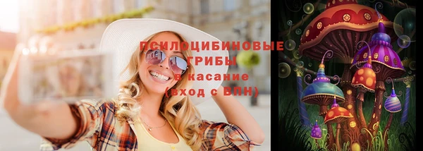 первитин Богородицк