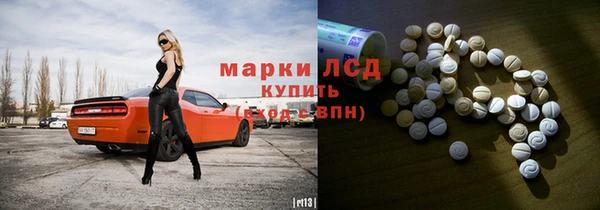 дмт Богданович