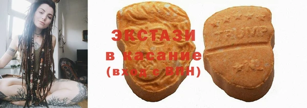 дмт Богданович