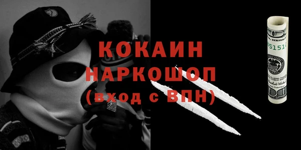дмт Богданович