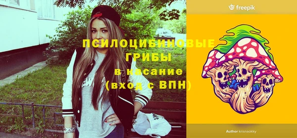 дмт Богданович