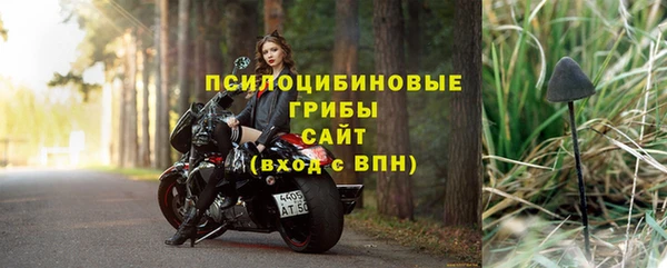 первитин Богородицк