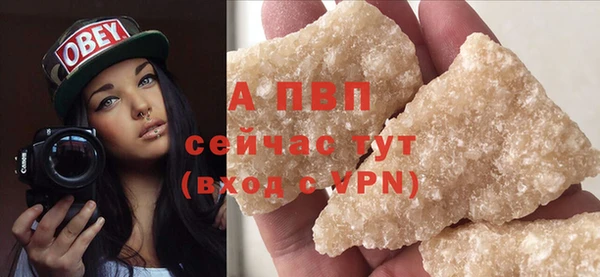дмт Богданович