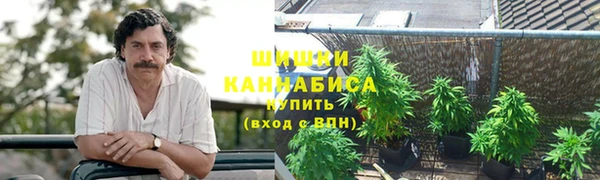 дмт Богданович