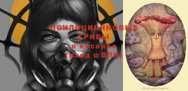 спайс Богородск