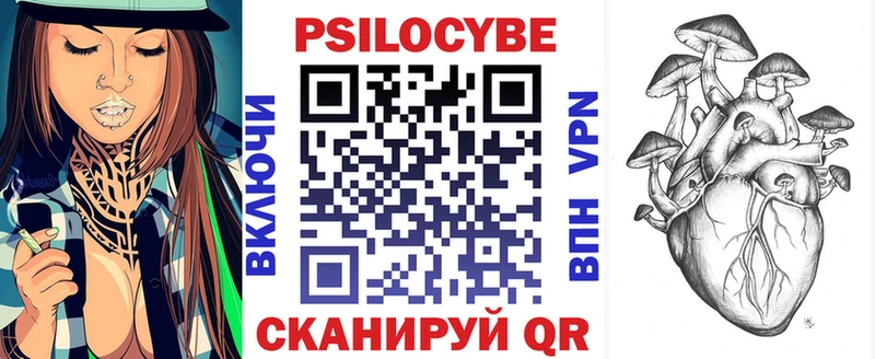 MEGA как войти  закладки  Братск  Псилоцибиновые грибы Psilocybe 